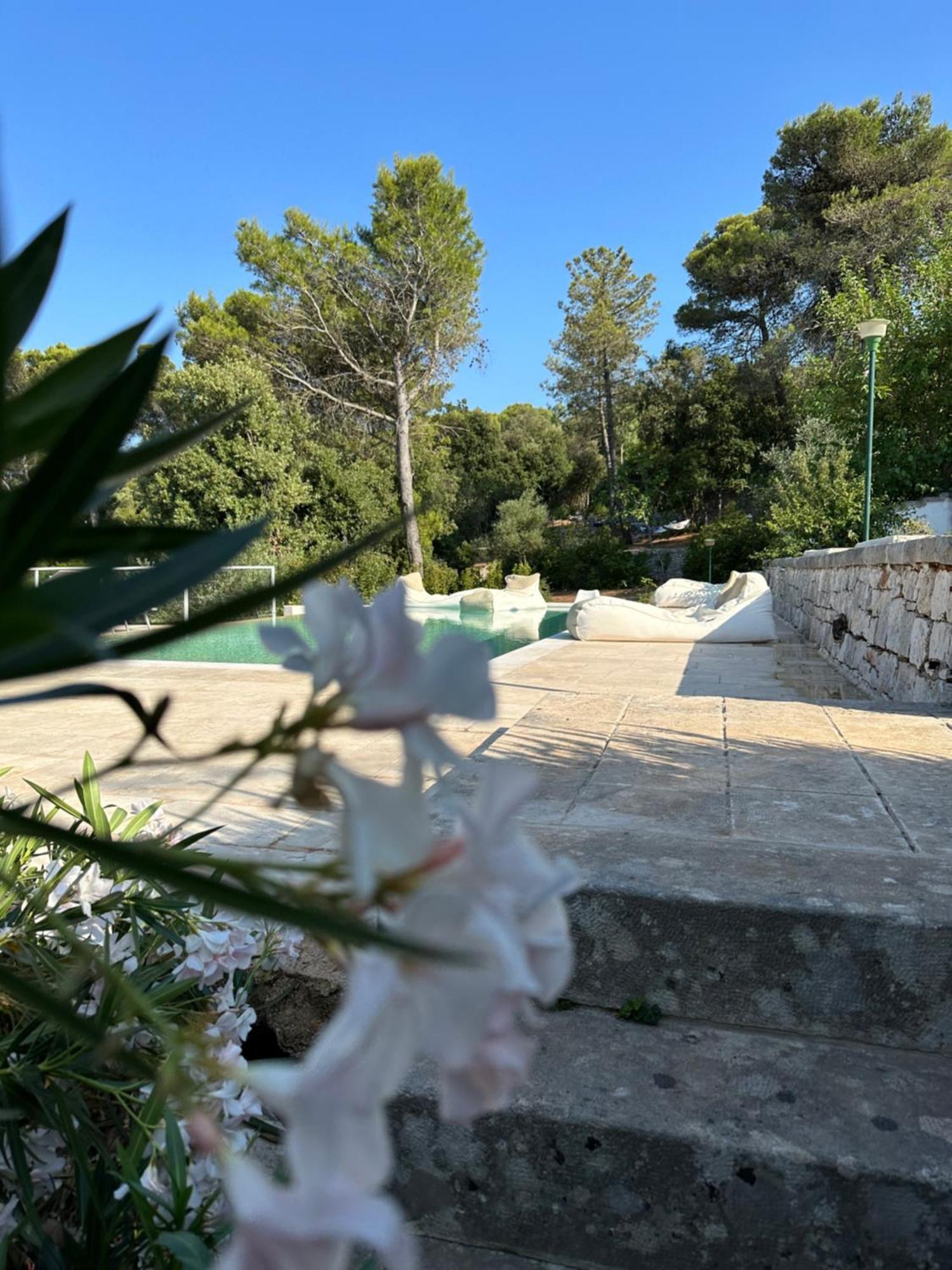 Bed and Breakfast Il Trullo Di Simona Локоротондо Екстер'єр фото